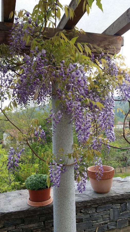 Casa Margherita Villar San Costanzo エクステリア 写真